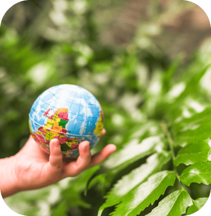 Proyectos eco-sustentables